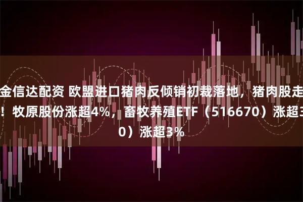 金信达配资 欧盟进口猪肉反倾销初裁落地，猪肉股走强！牧原股份涨超4%，畜牧养殖ETF（516670）涨超3%