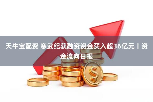 天牛宝配资 寒武纪获融资资金买入超36亿元丨资金流向日报