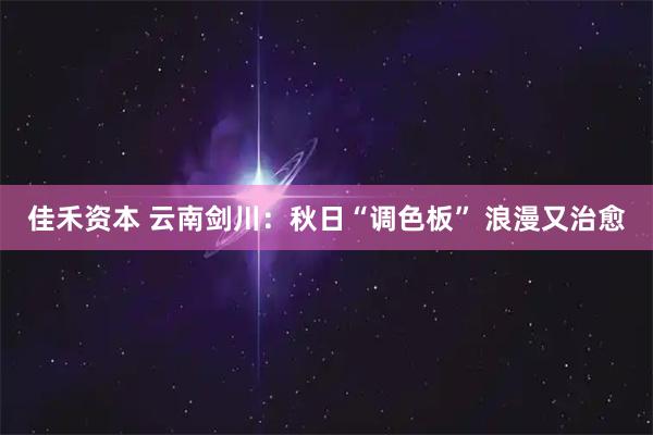 佳禾资本 云南剑川：秋日“调色板” 浪漫又治愈